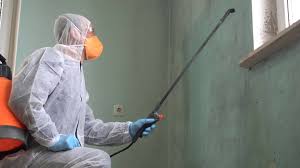 Trusted Chilton, WI Mold Removal Services Experts